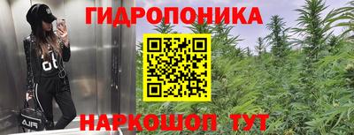 герыч Вышний Волочёк